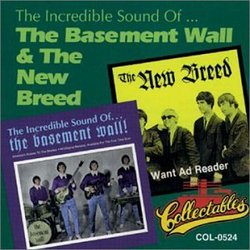 The Incredible Sound Of The Basement Wall / The New Breed - Want Ad Reader