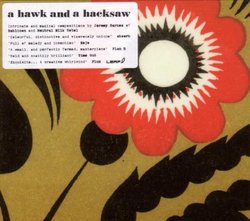 a hawk and a hacksaw