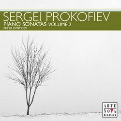 Prokofiev: Piano Sonatas Vol. 2