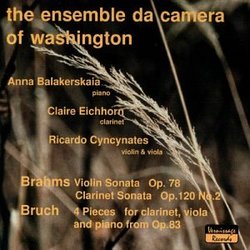 The Ensemble da Camera of Washington Plays Brahms and Bruch