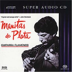 Guitarra Flamenco (Hybr)