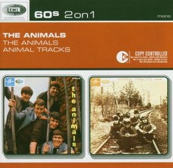Animals / Animal Tracks