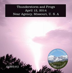 Thunderstorm and Frogs