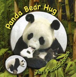 Panada Bear Hug