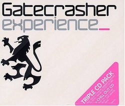 Ministry of Sound: Gatecrasher Experience