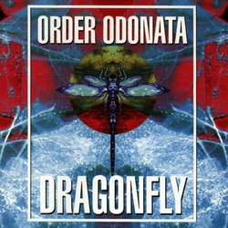 Order Odonata V. 3 (Technical Use of Sound in Magick)