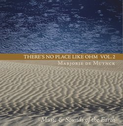 There's No Place Like Ohm Vol. 2