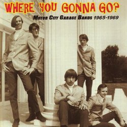 Where You Gonna Go? Motor City Garage Bands 1965-1969