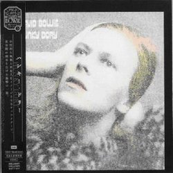 Hunky Dory (Mlps)