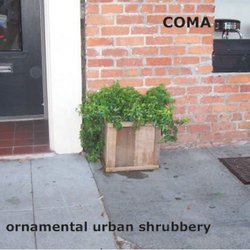 Ornamental Urban Shrubbery
