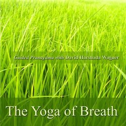 The Yoga of Breath - Guided Pranayama with David Harshada Wagner