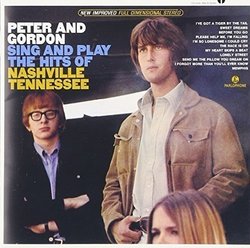 Sing & Play the Hits of Nashville by PETER & GORDON (2015-05-04)