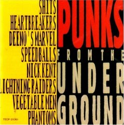 Punks From the Underground