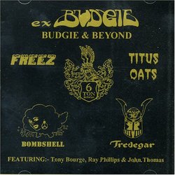 Budgie & Beyond