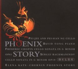 Phoenix Story