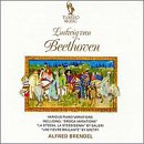 Beethoven: Piano Variations, Vol. 2