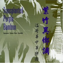 Transplated Purple Bamboo