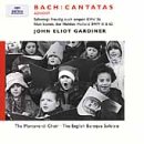 Bach: Advent Cantatas