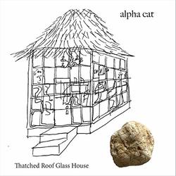 Thatched Roof Glass House