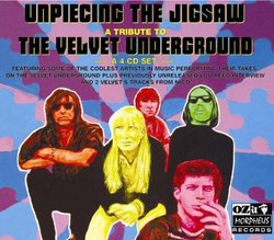 Unpiecing the Jigsaw: Velvet Underground