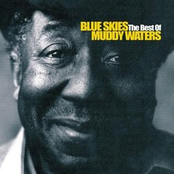Blue Skies the Best of Muddy Waters