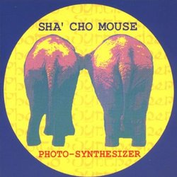 Photo-Synthesizer