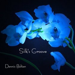 Silk's Groove