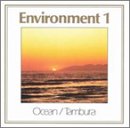 Environment 1