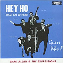 Hey Ho (What You Do to Me) (IMPORT)