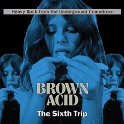 Brown Acid - The Sixth Trip / Various