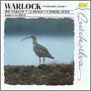 Curlew / 12 Songs