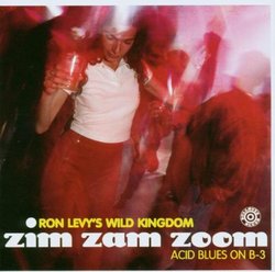 Zim Zam Zoom: Acid Blues on B-3