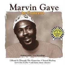 Marvin Gaye - In Concert