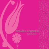 Istanbul Lounge 3