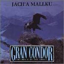 Gran Condor: Music of the Andes