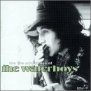 The Live Adventures of the Waterboys (2cds)