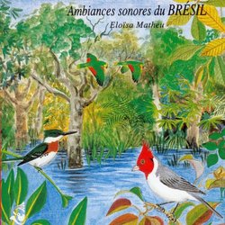 Brazilian Soundscape