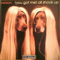 You Got Me All Shook Up / After the Rain by Nelson (1995-05-16)