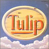 Tulip Land (Mlps)