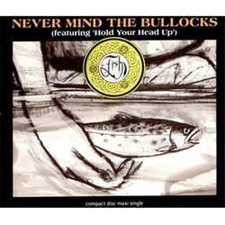 Never Mind The Bullocks