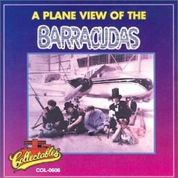 Plane View of the Barracudas