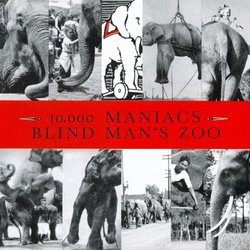 Blind Man's Zoo by 10,000 Maniacs (1989-05-19)