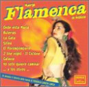 Huerga Flamenca De Andalusia