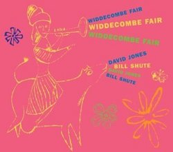 Widdecombe Fair