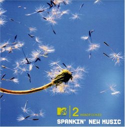 MTV 2 Handpicked - Spankin' New Music