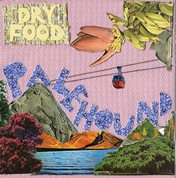 Dry Food by Palehound