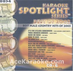 Best Male Country Hits of 2003
