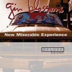 New Miserable Experience (Dlx) (Dig)