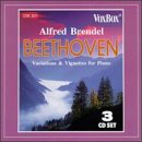Beethoven: Variations & Vignettes