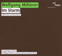 Wolfgang Mitterer: Im Sturm